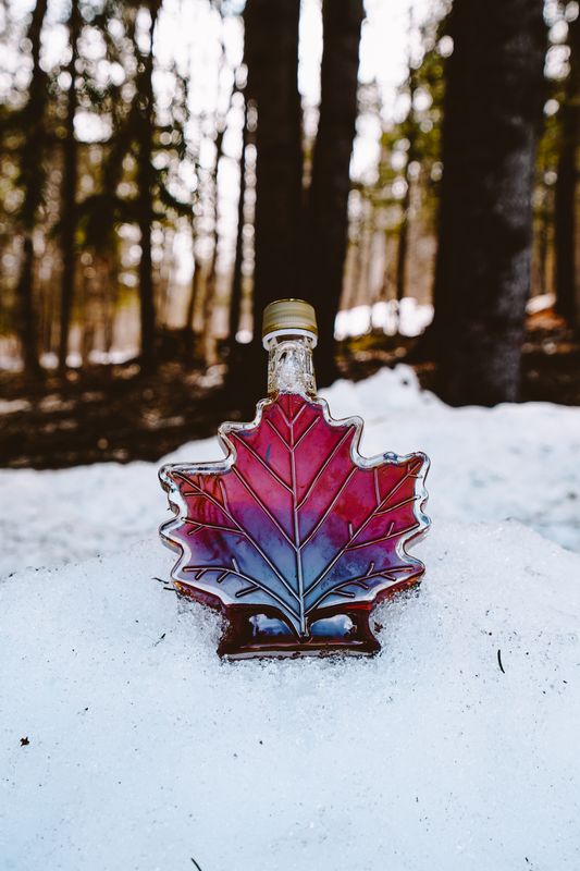 A Truly Canadian Maple Syrup Experience In New Brunswick